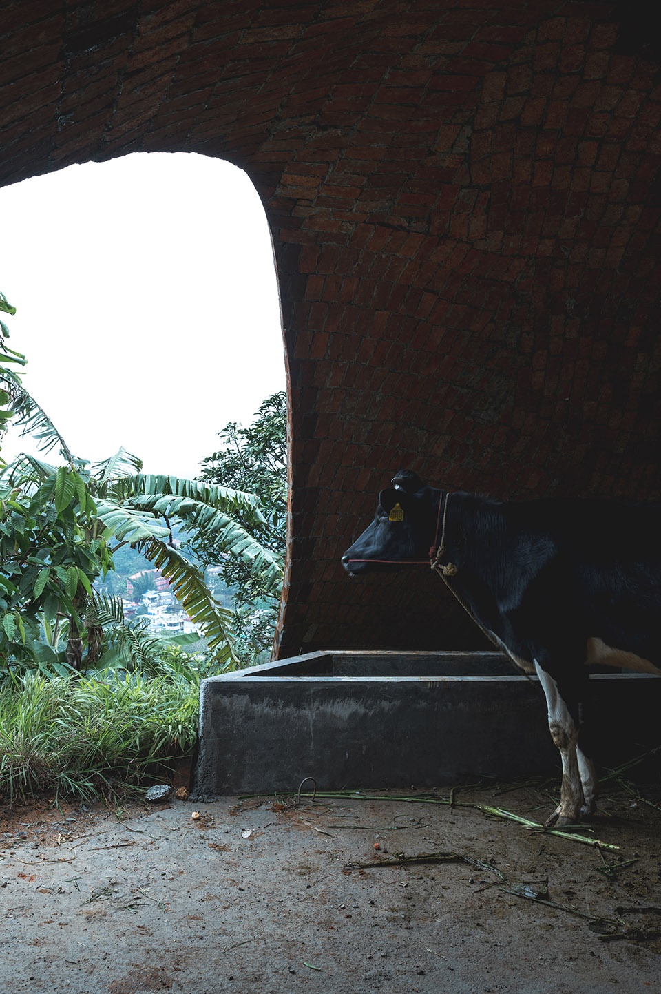 “天堂”永久体验馆,印度 / Earthscape Studio